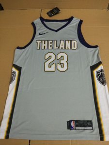 Cleveland Cavaliers - Lebron James *The land* grey