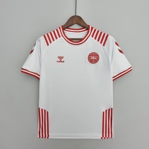 2022-2023 Denmark Home