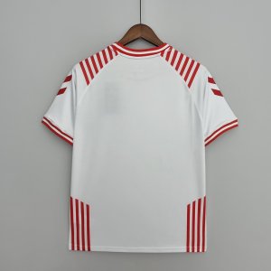 2022-2023 Denmark Home