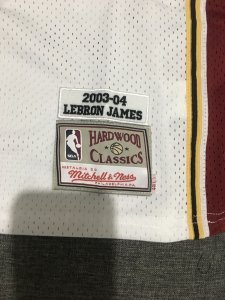 Vintage Lebron James Cleveland