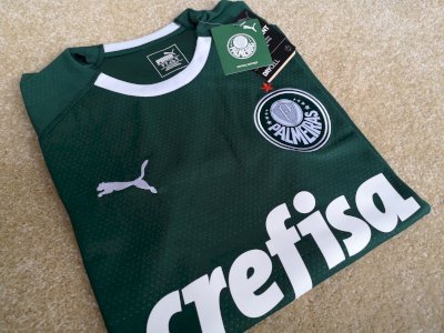 Sociedade Esportiva Palmeiras