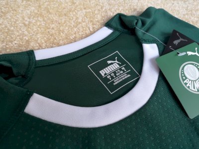 Sociedade Esportiva Palmeiras